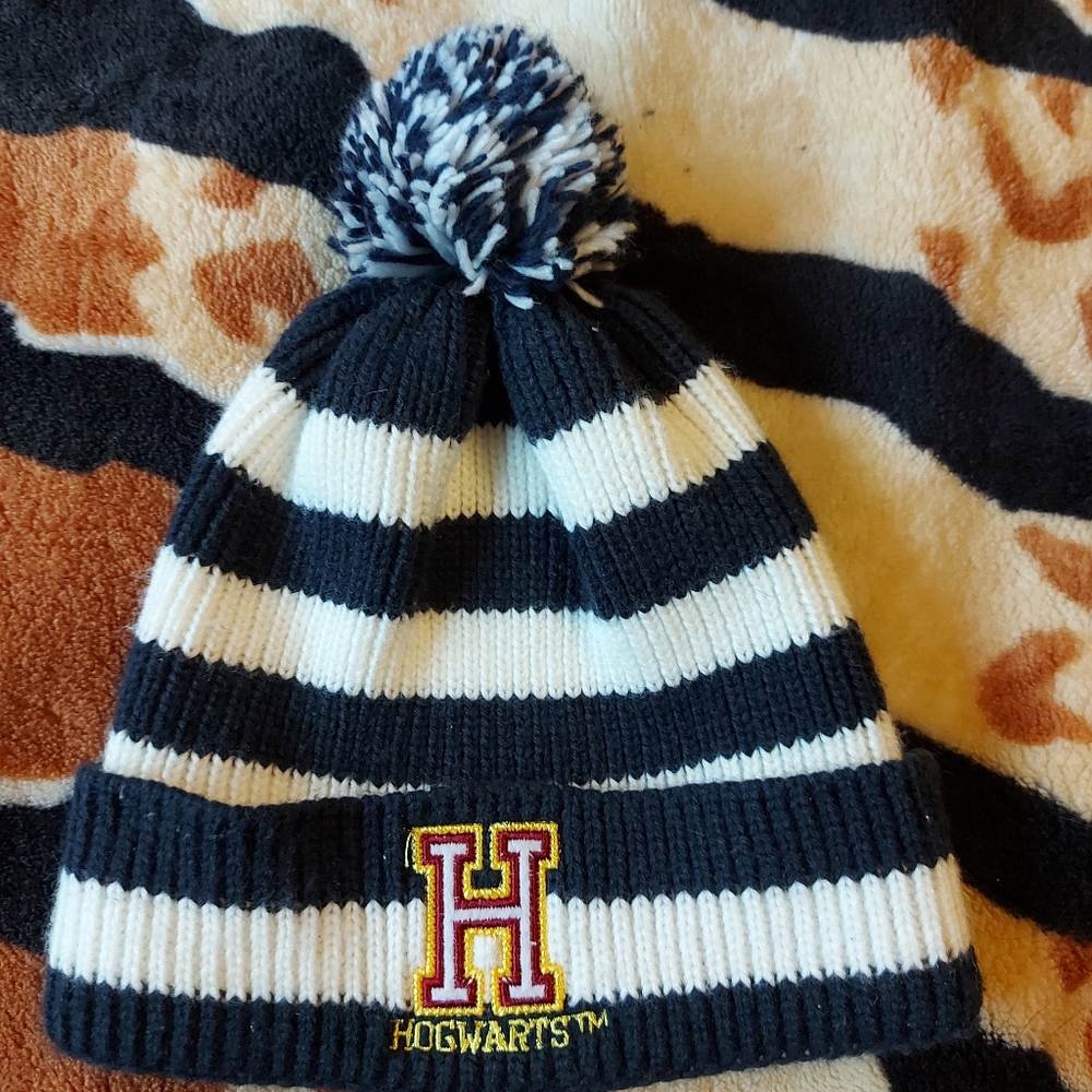 Winter hat